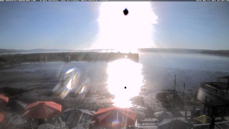 Digby Harbour