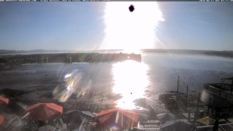 Digby Harbour
