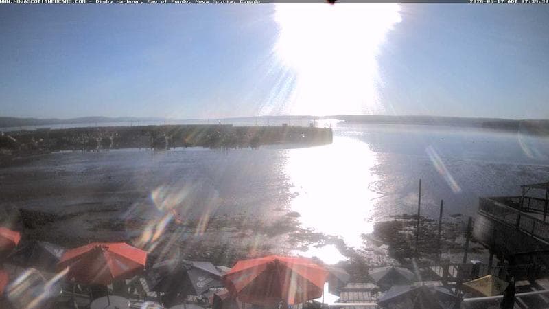 Digby Harbour