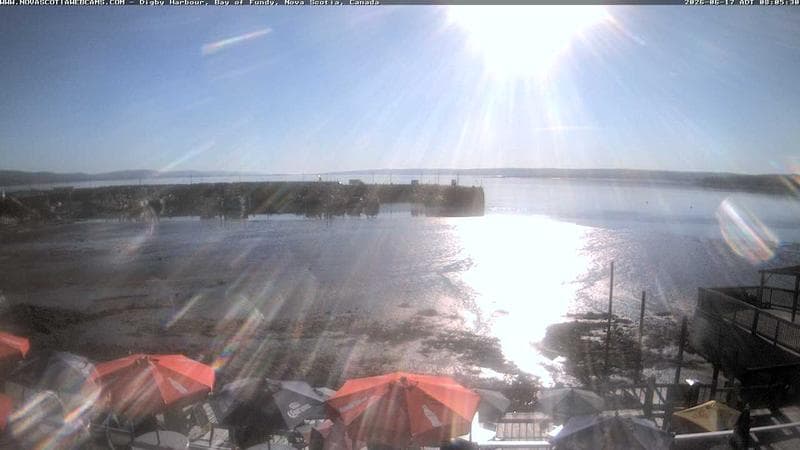 Digby Harbour