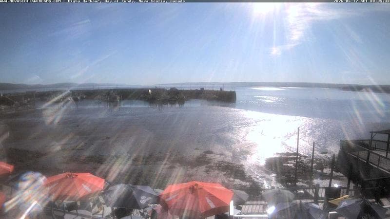 Digby Harbour