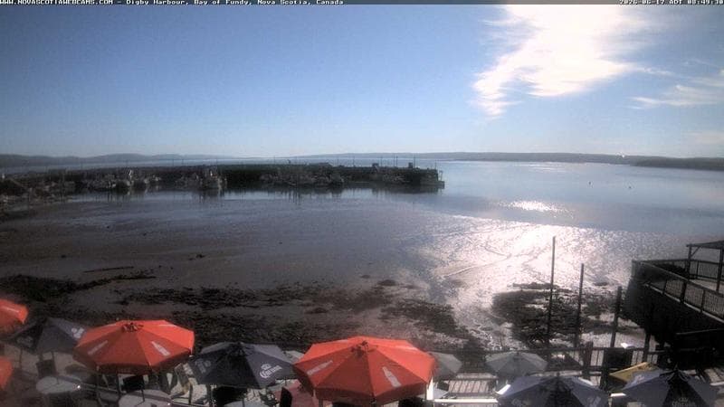 Digby Harbour
