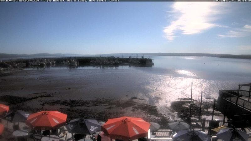 Digby Harbour