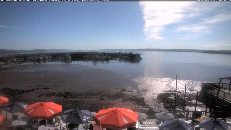 Digby Harbour
