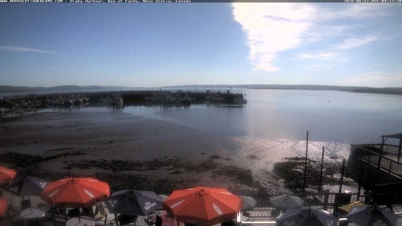Digby Harbour