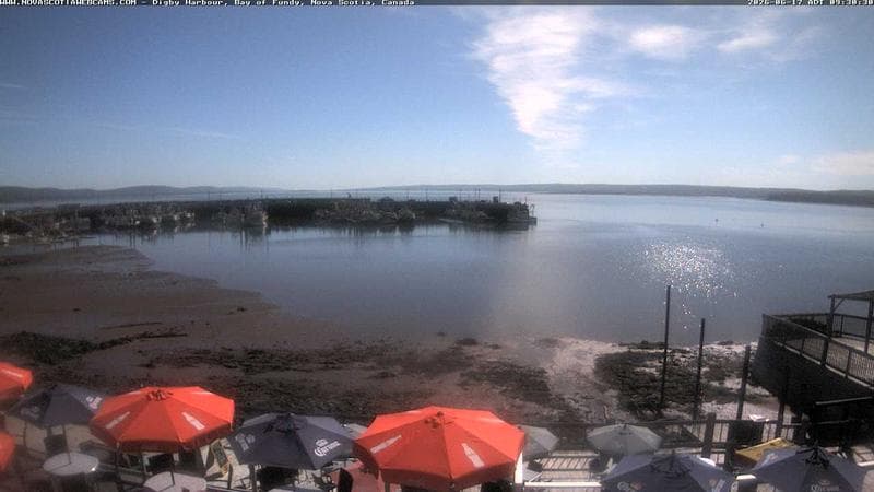 Digby Harbour