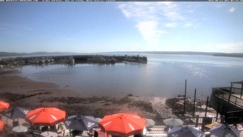 Digby Harbour