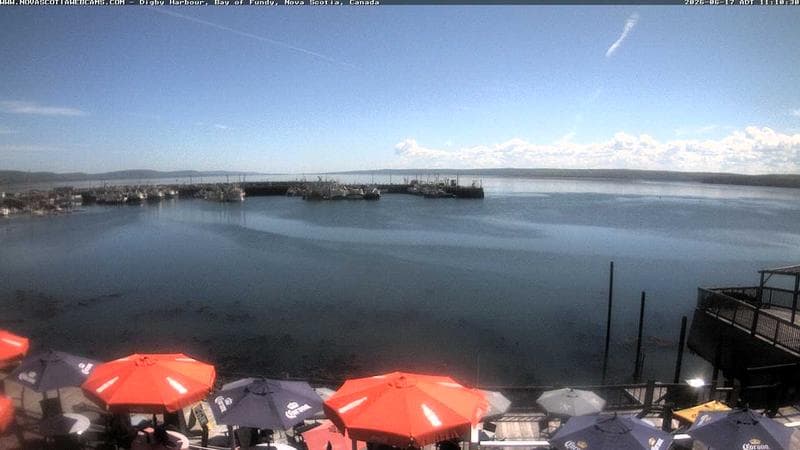 Digby Harbour