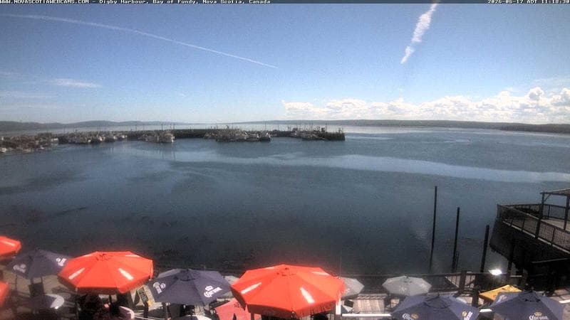 Digby Harbour
