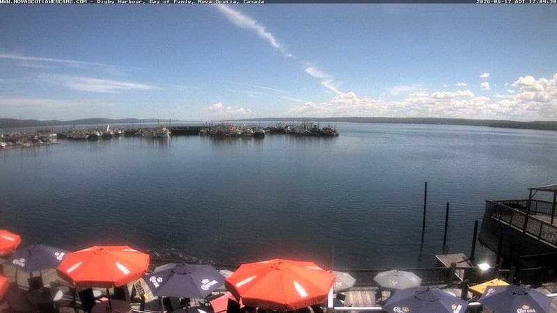 Digby Harbour
