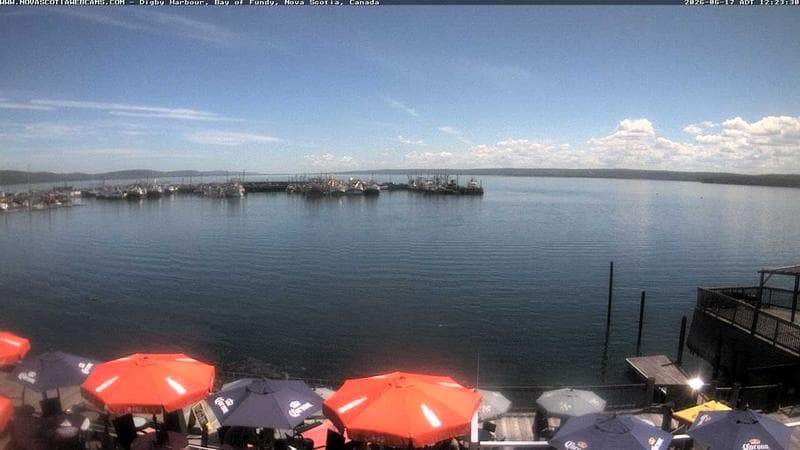 Digby Harbour