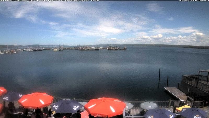 Digby Harbour