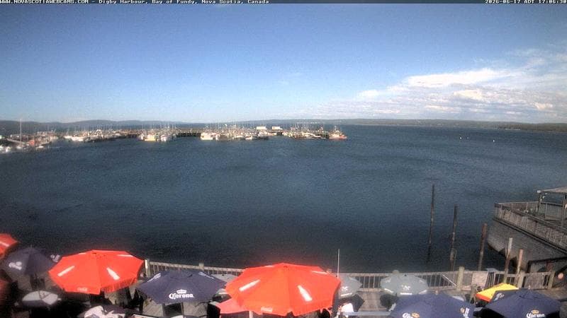 Digby Harbour