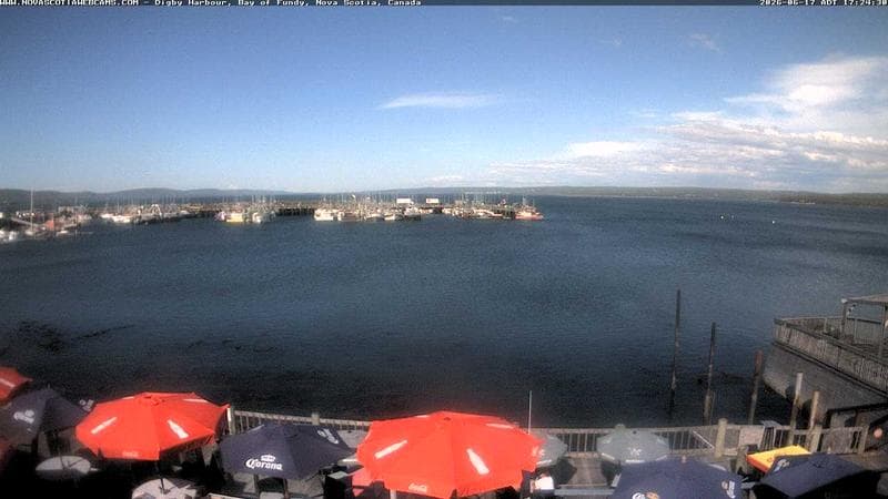 Digby Harbour