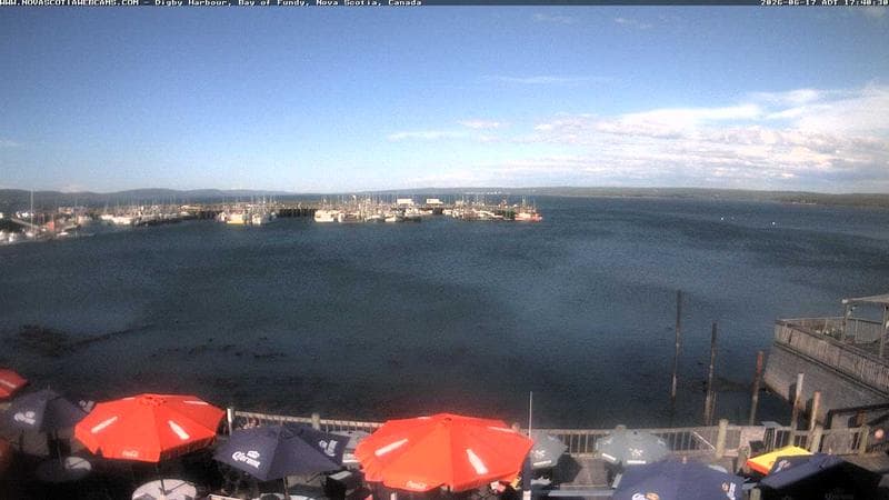 Digby Harbour