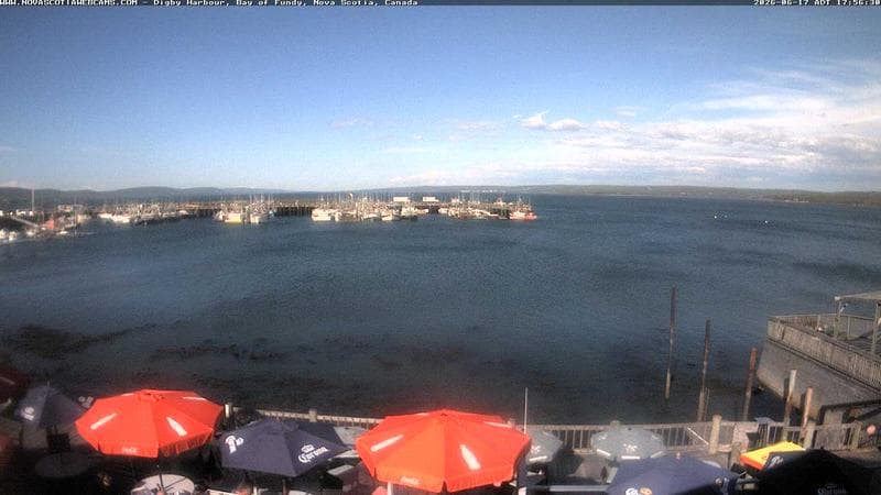 Digby Harbour