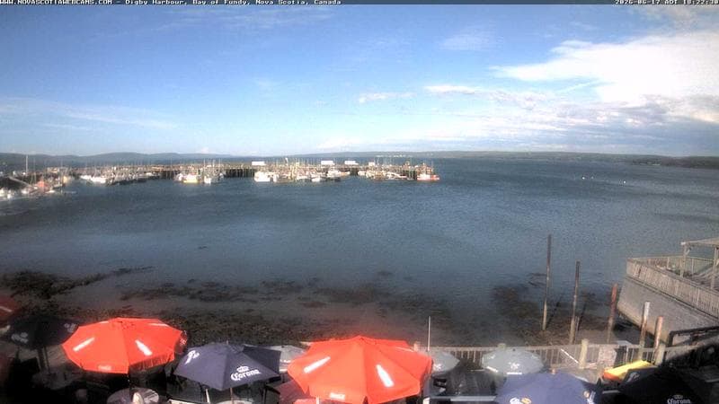 Digby Harbour