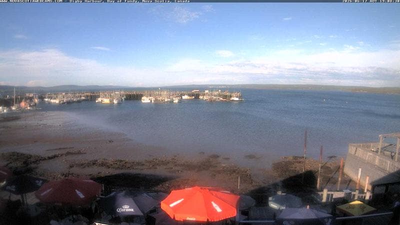 Digby Harbour