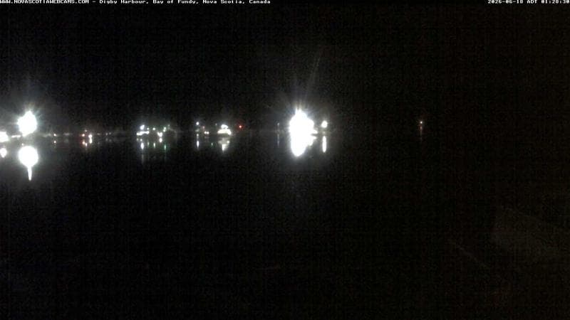 Digby Harbour