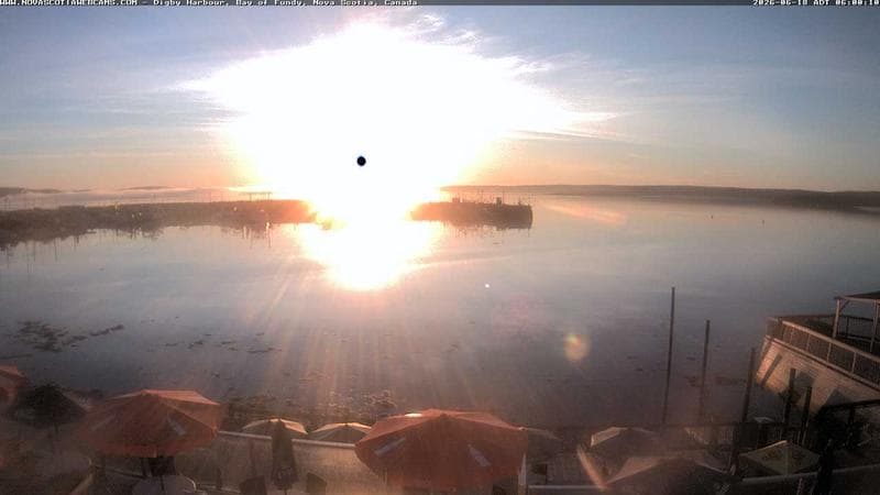 Digby Harbour