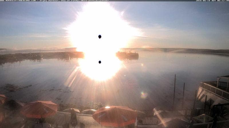 Digby Harbour