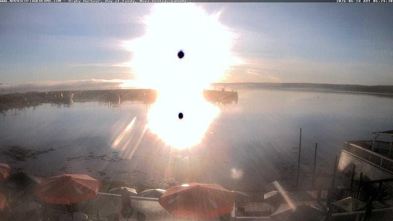 Digby Harbour