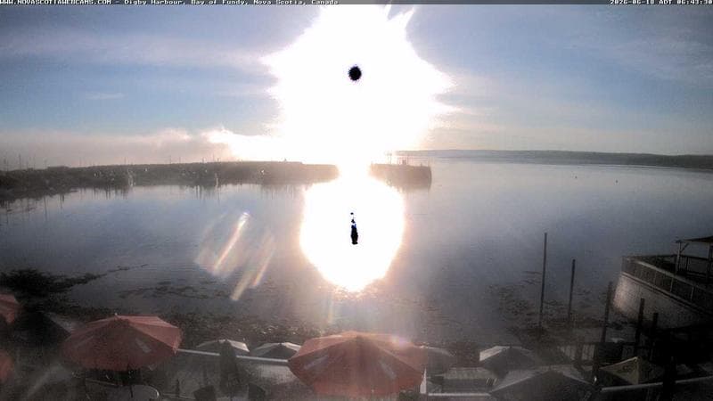 Digby Harbour