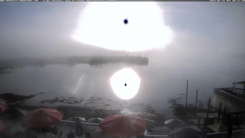 Digby Harbour