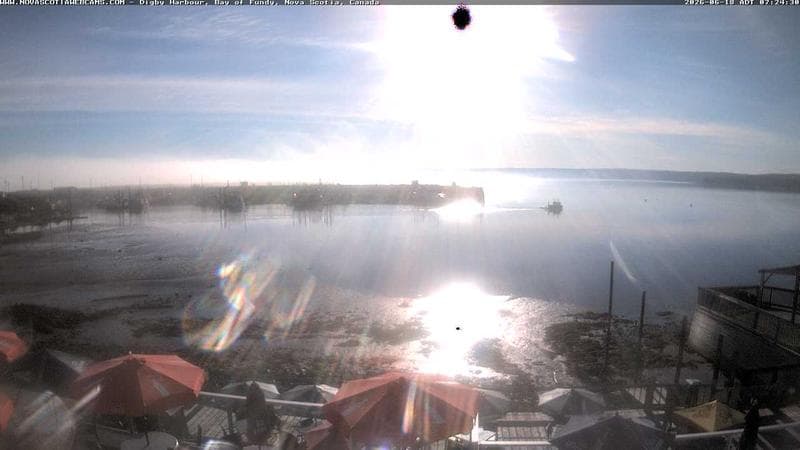 Digby Harbour