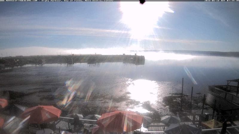 Digby Harbour
