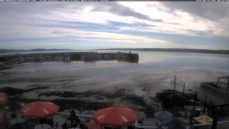 Digby Harbour