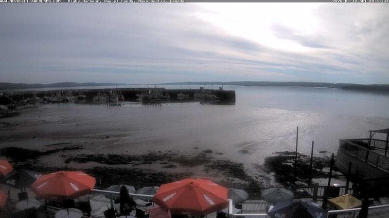Digby Harbour