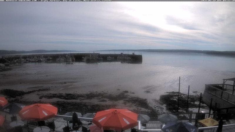 Digby Harbour