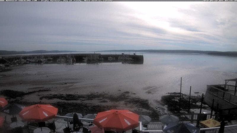 Digby Harbour