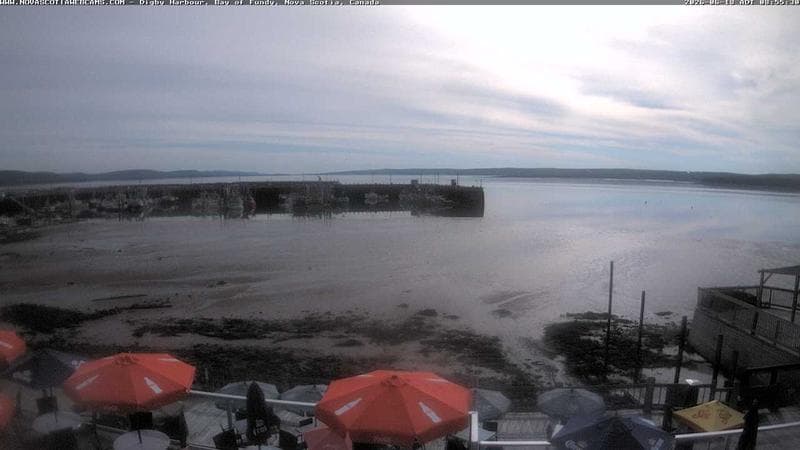 Digby Harbour