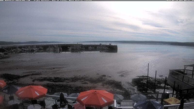 Digby Harbour