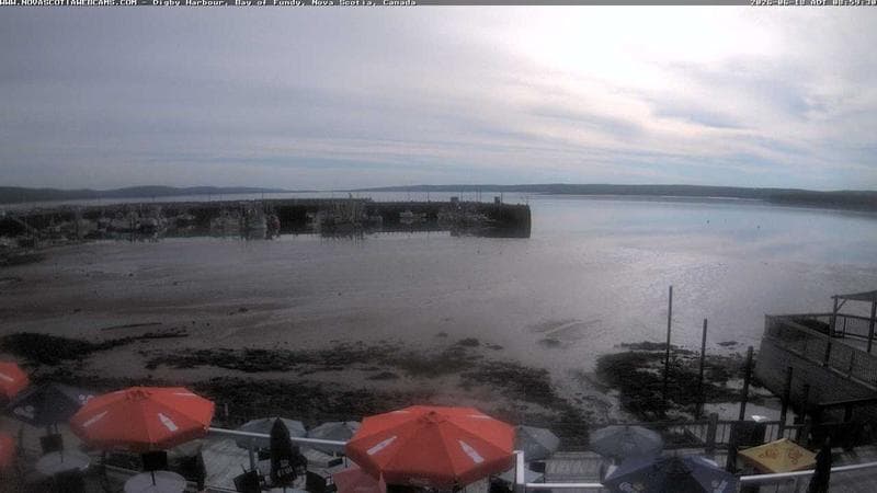 Digby Harbour
