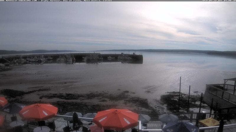 Digby Harbour