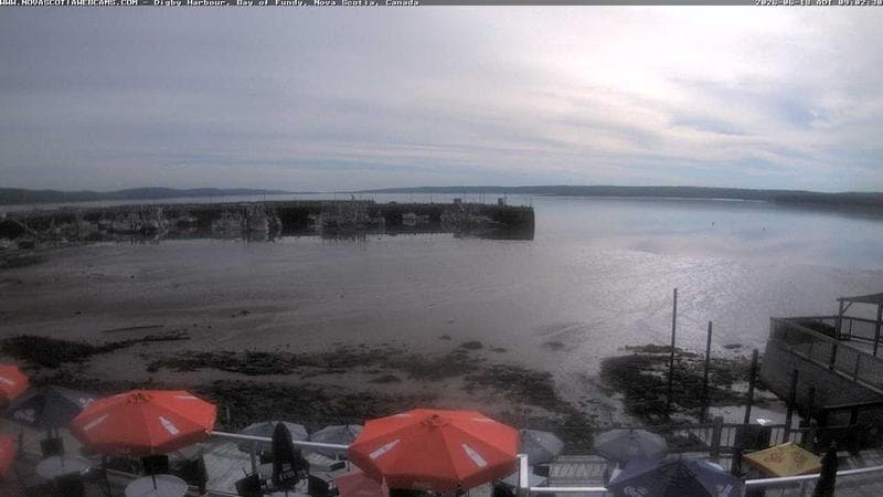 Digby Harbour