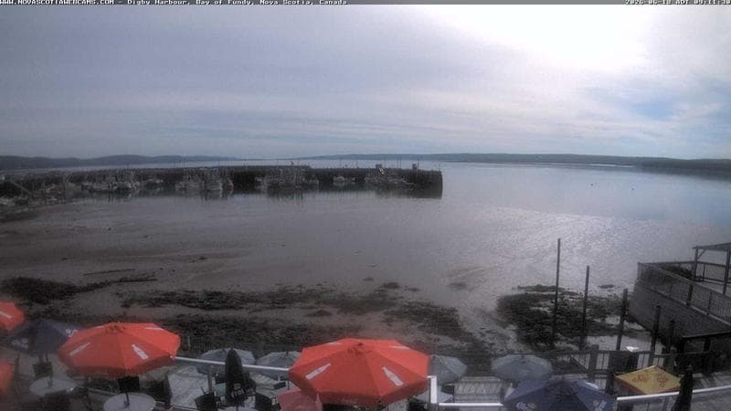 Digby Harbour