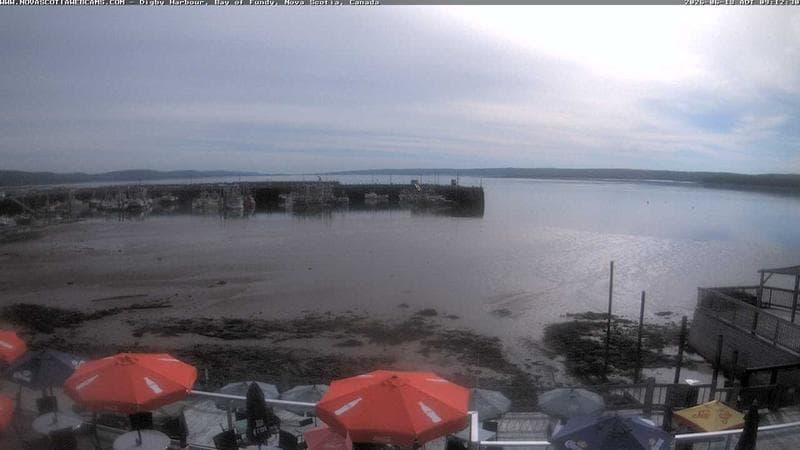 Digby Harbour