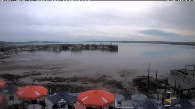 Digby Harbour