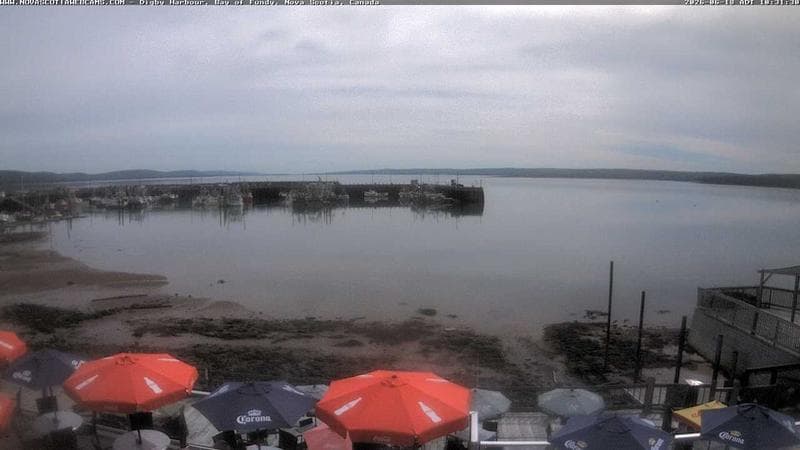 Digby Harbour