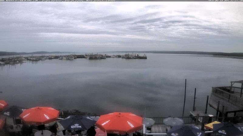Digby Harbour