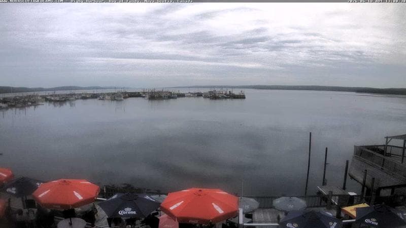Digby Harbour