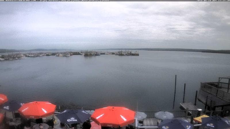 Digby Harbour