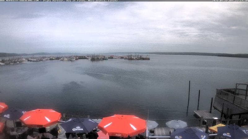 Digby Harbour