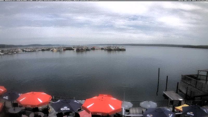 Digby Harbour