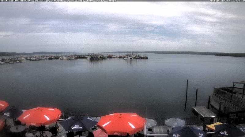 Digby Harbour