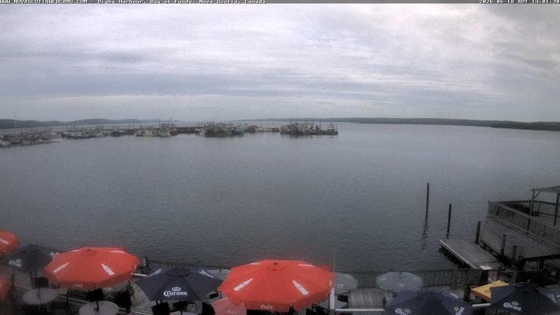 Digby Harbour